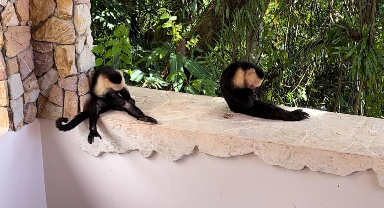 PHOTO-2024-08-28-08-34-57