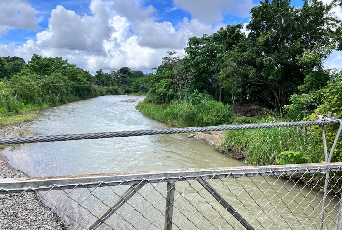 PROFITABLE INCOME – GENERATING FARM NEAR QUEPOS – 108 ACRES