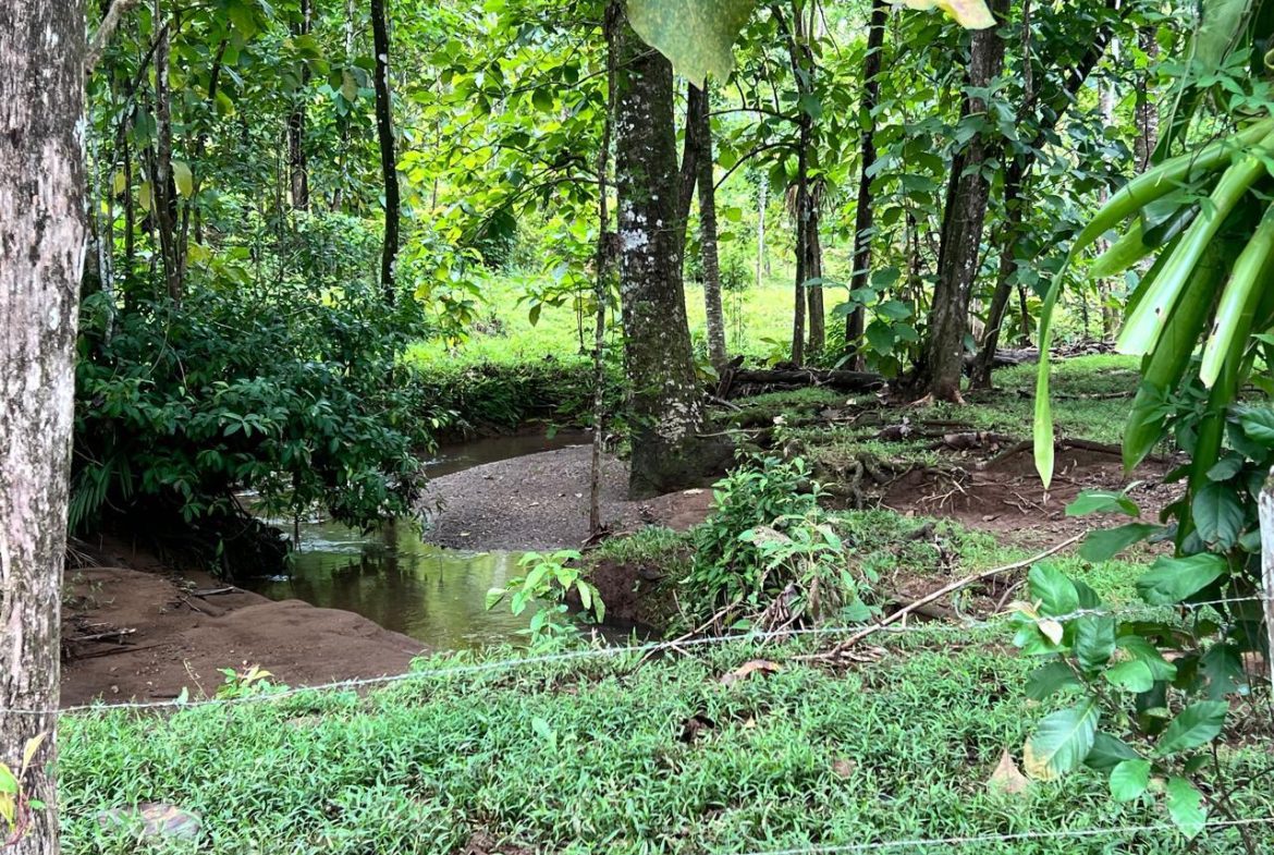 PROFITABLE INCOME – GENERATING FARM NEAR QUEPOS – 108 ACRES