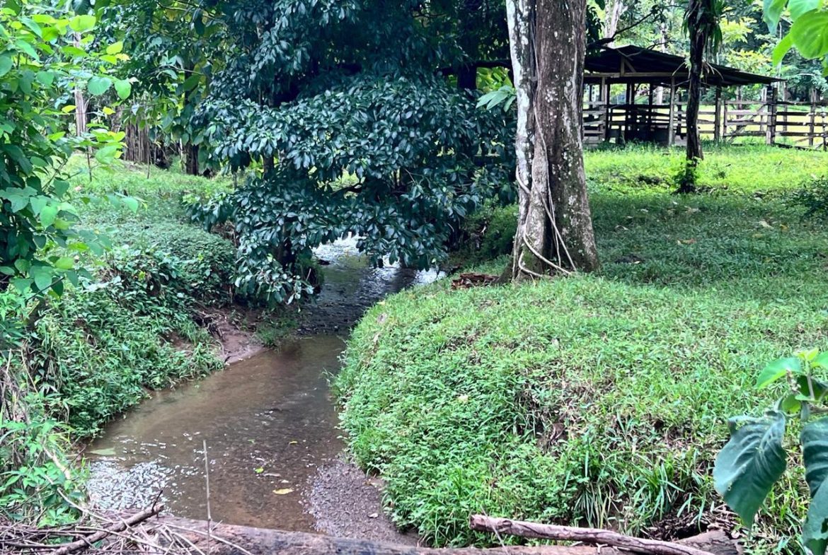 PROFITABLE INCOME – GENERATING FARM NEAR QUEPOS – 108 ACRES