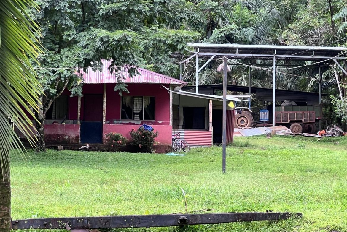 PROFITABLE INCOME – GENERATING FARM NEAR QUEPOS – 108 ACRES