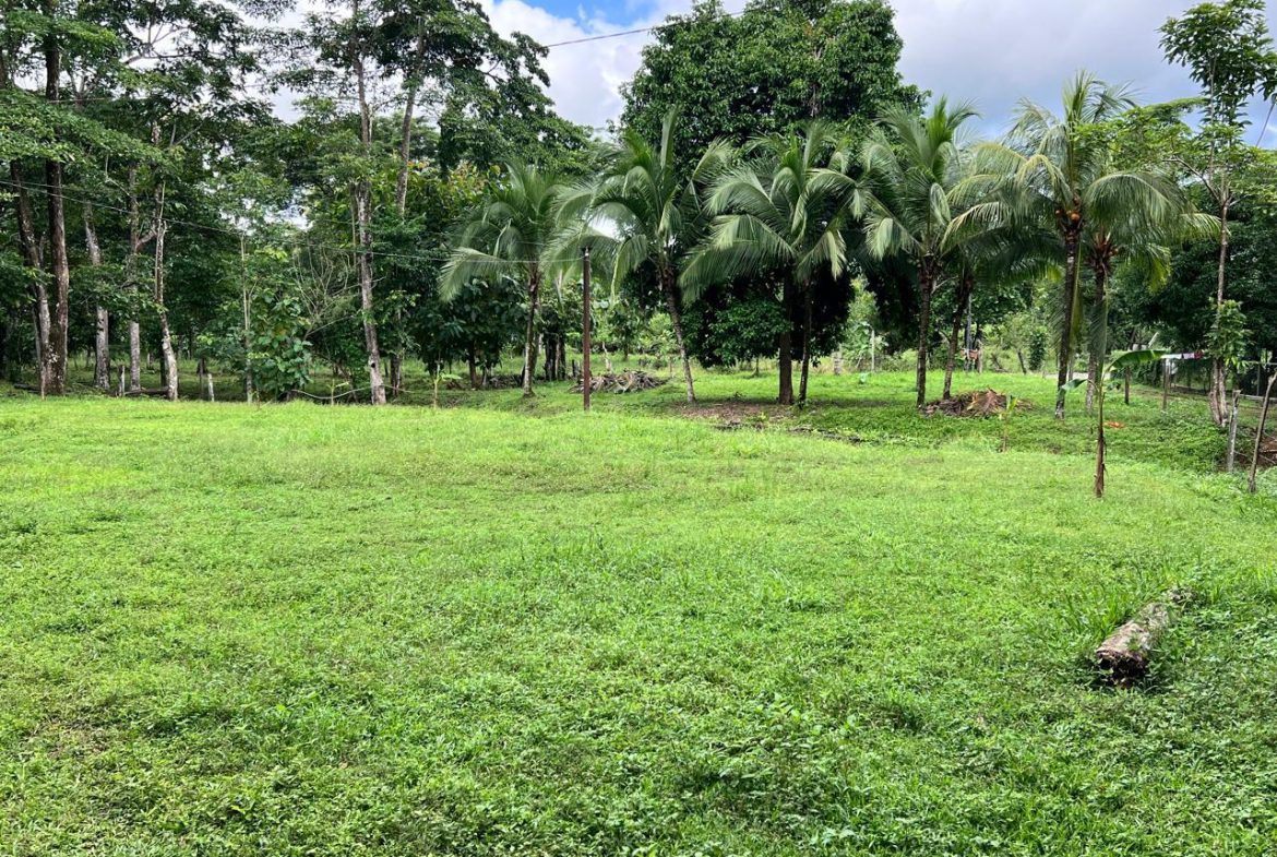 PROFITABLE INCOME – GENERATING FARM NEAR QUEPOS – 108 ACRES