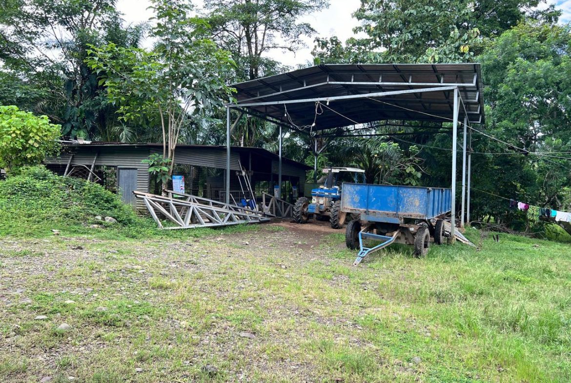 PROFITABLE INCOME – GENERATING FARM NEAR QUEPOS – 108 ACRES