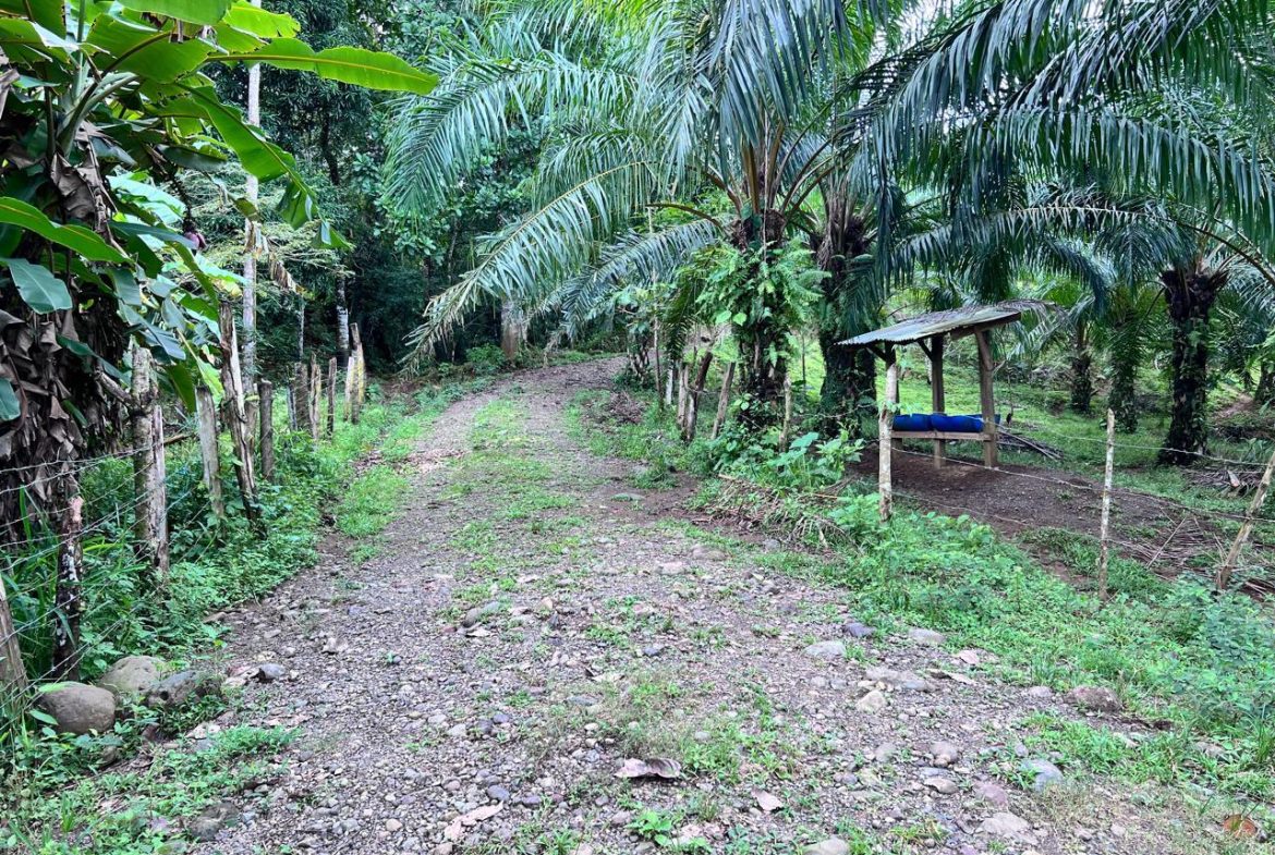 PROFITABLE INCOME – GENERATING FARM NEAR QUEPOS – 108 ACRES