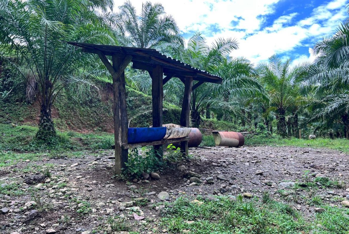 PROFITABLE INCOME – GENERATING FARM NEAR QUEPOS – 108 ACRES
