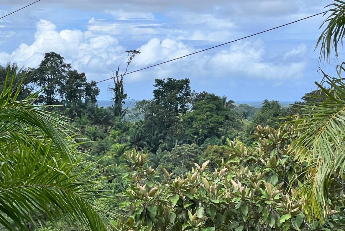 PROFITABLE INCOME – GENERATING FARM NEAR QUEPOS – 108 ACRES