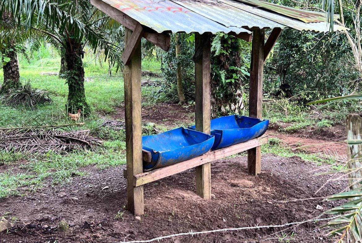 PROFITABLE INCOME – GENERATING FARM NEAR QUEPOS – 108 ACRES