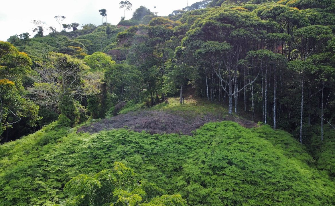 OCEAN VIEW LOTS IN UVITA MOUNTAINS STARTING AT $250K