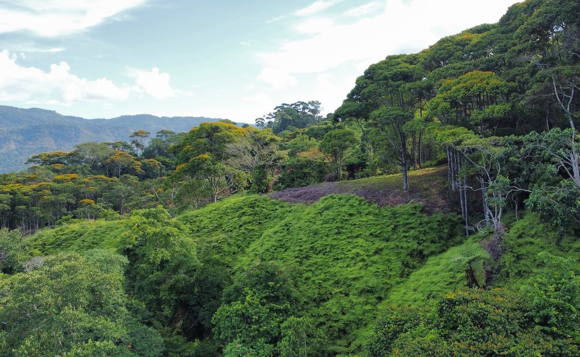 OCEAN VIEW LOTS IN UVITA MOUNTAINS STARTING AT $250K