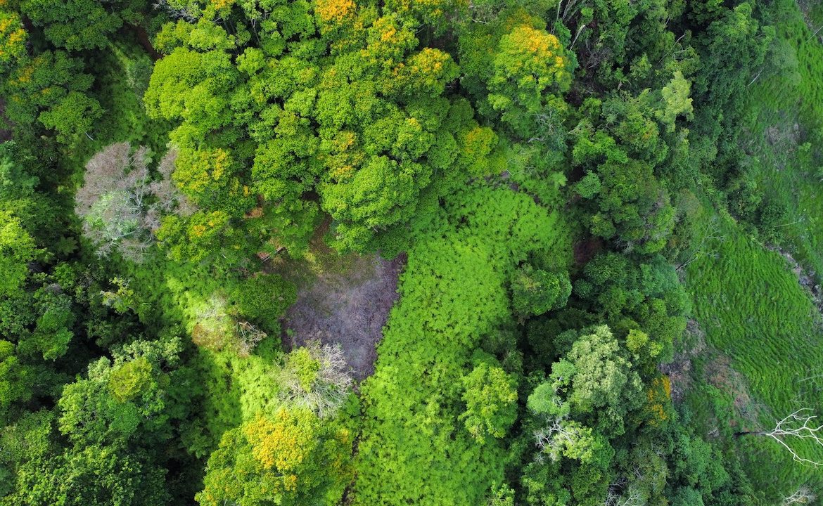 OCEAN VIEW LOTS IN UVITA MOUNTAINS STARTING AT $250K