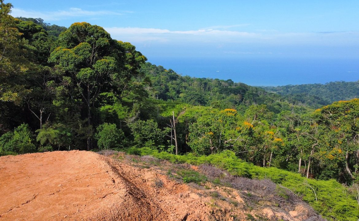 OCEAN VIEW LOTS IN UVITA MOUNTAINS STARTING AT $250K