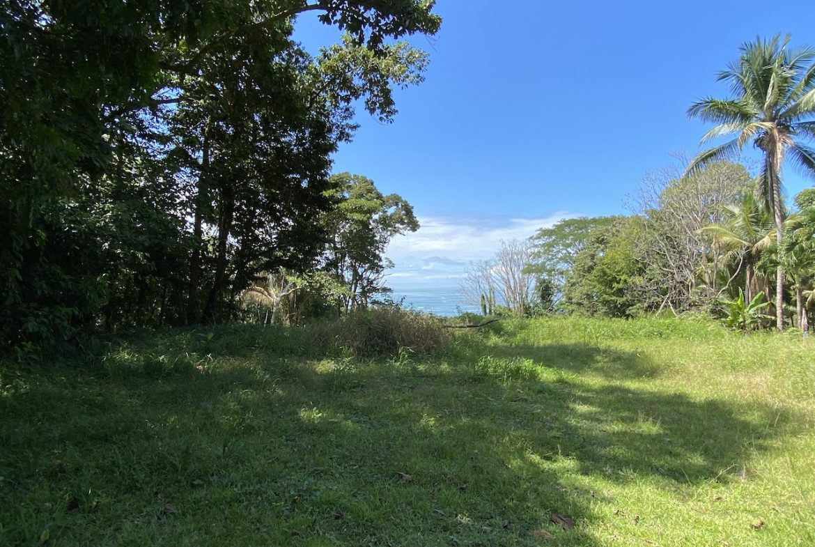 OCEAN VIEW LOT IN DOMINICALITO – 1.24 ACRES