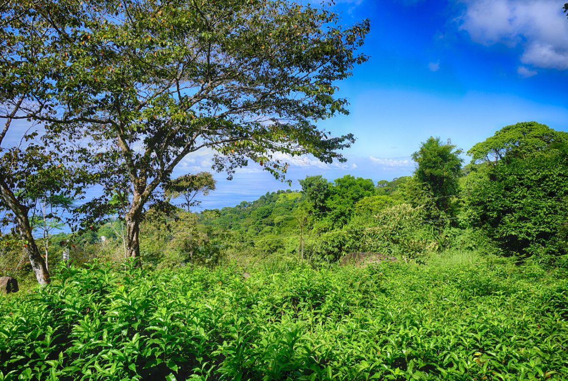OCEAN VIEW LOT READY TO BUILD IN ESCALERAS – 1.18 ACRES