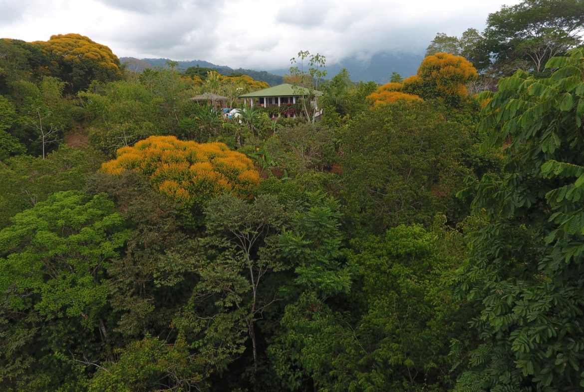 3 BEDROOM HOME WITH GREAT MOUNTAIN VIEW, 2 POOLS WITH WATERSLIDE AND 2WD ACCESS  – 2.7 ACRES, Uvita, Costa Rica — photo 2