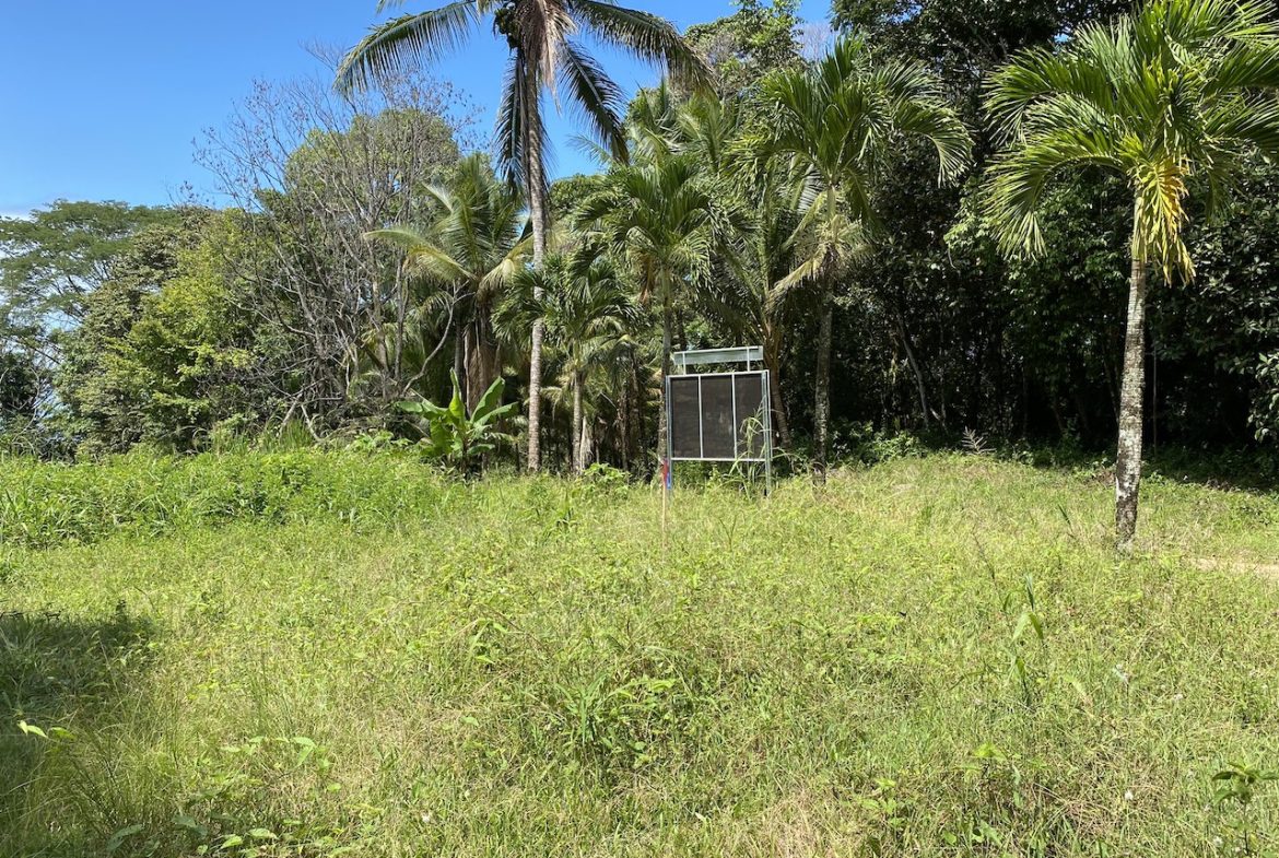 OCEAN VIEW LOT IN DOMINICALITO – 1.24 ACRES