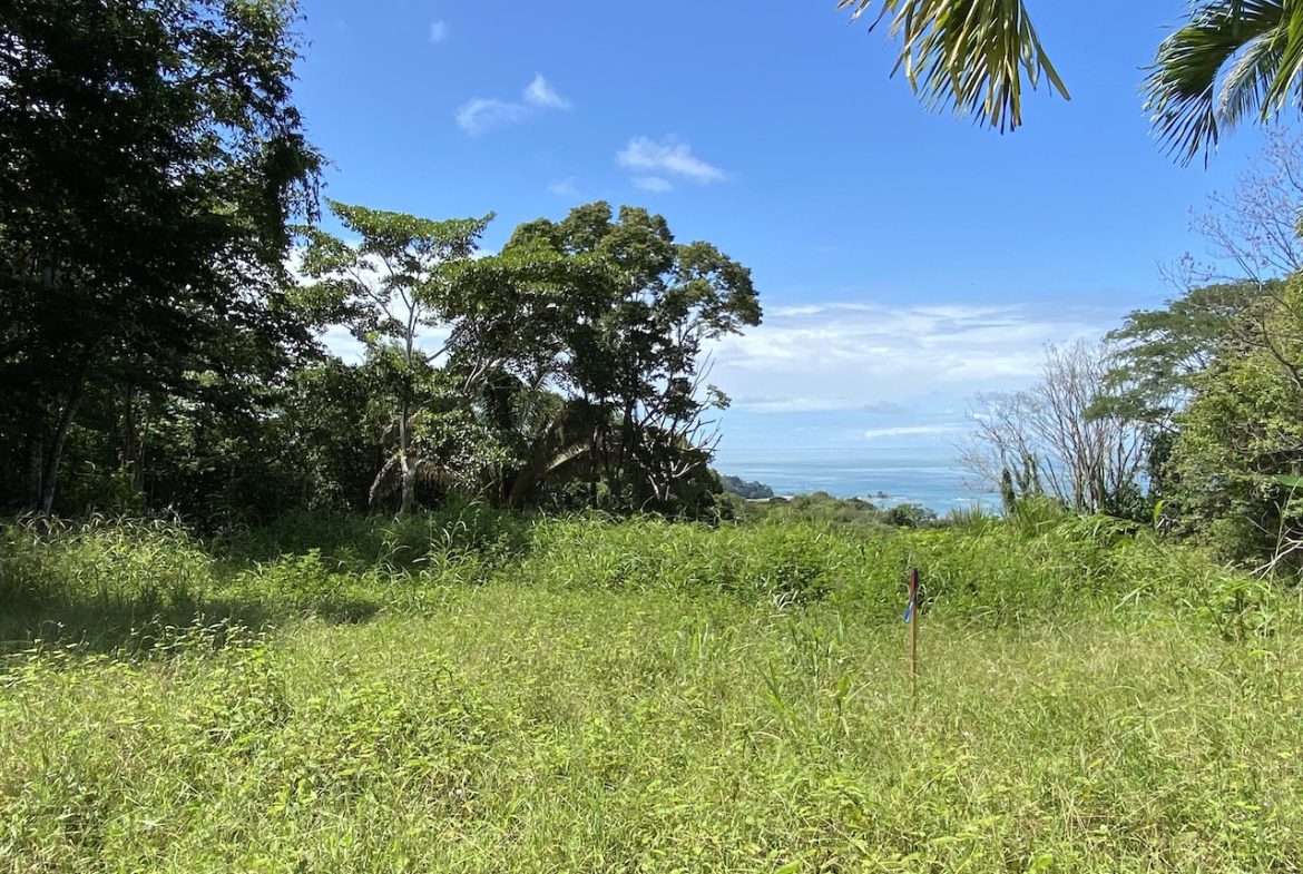 OCEAN VIEW LOT IN DOMINICALITO – 1.24 ACRES