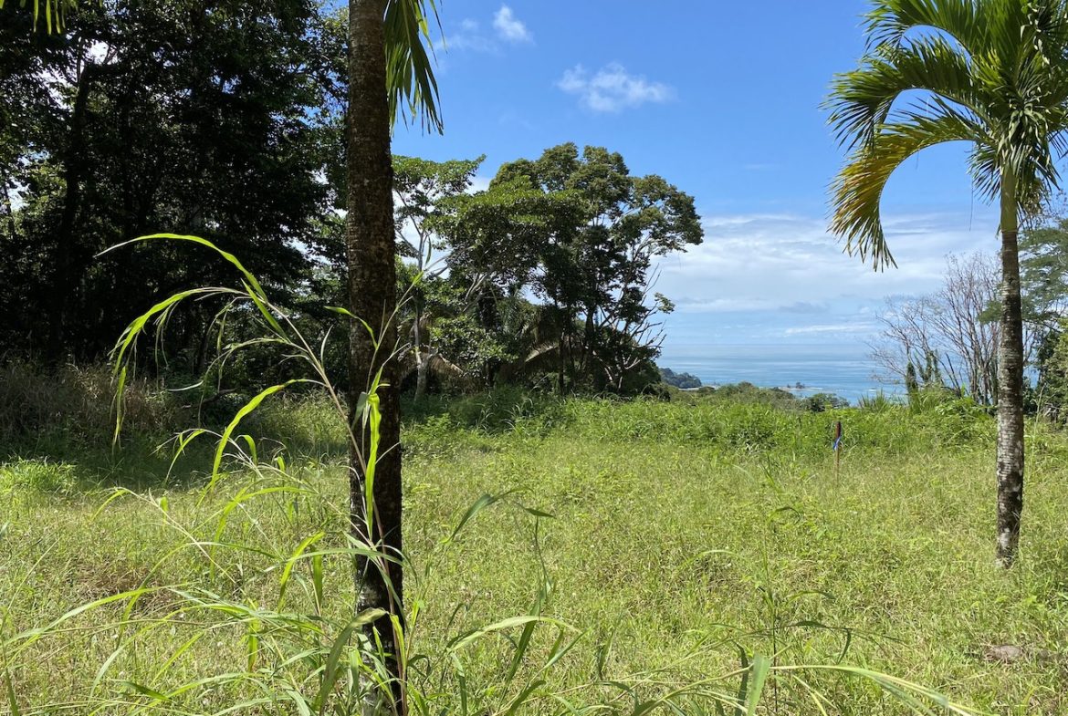 OCEAN VIEW LOT IN DOMINICALITO – 1.24 ACRES