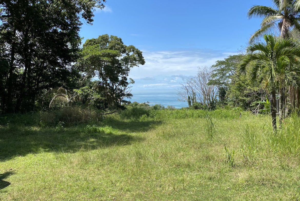 OCEAN VIEW LOT IN DOMINICALITO – 1.24 ACRES