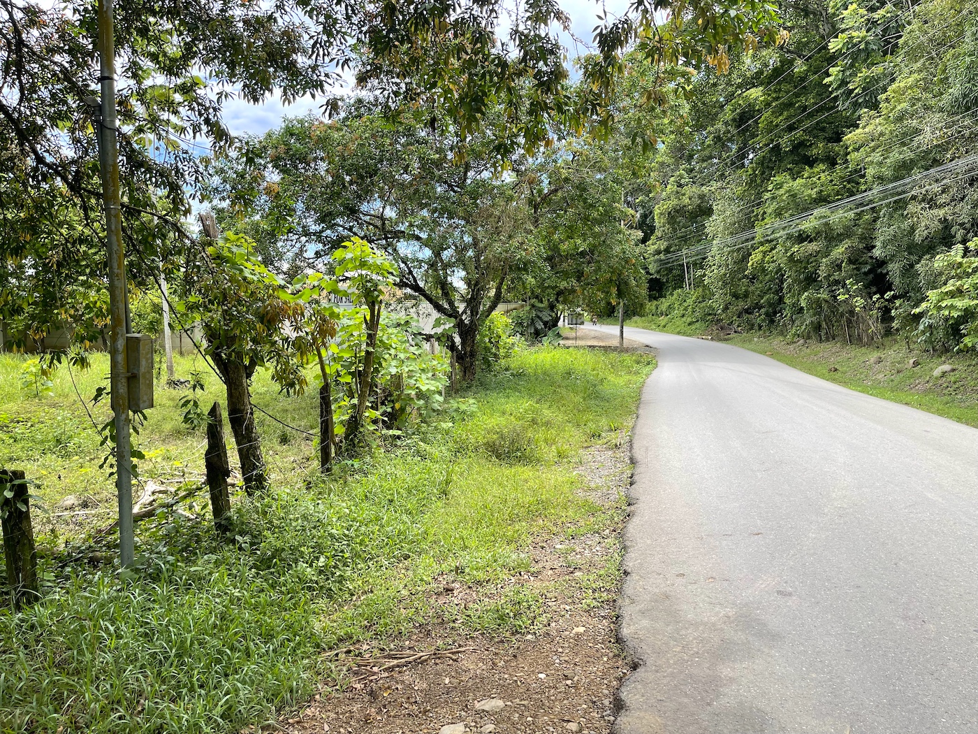 COMMERCIAL PROPERTY WITH AGRICULTURAL LAND IN UVITA – 10.67 Acres