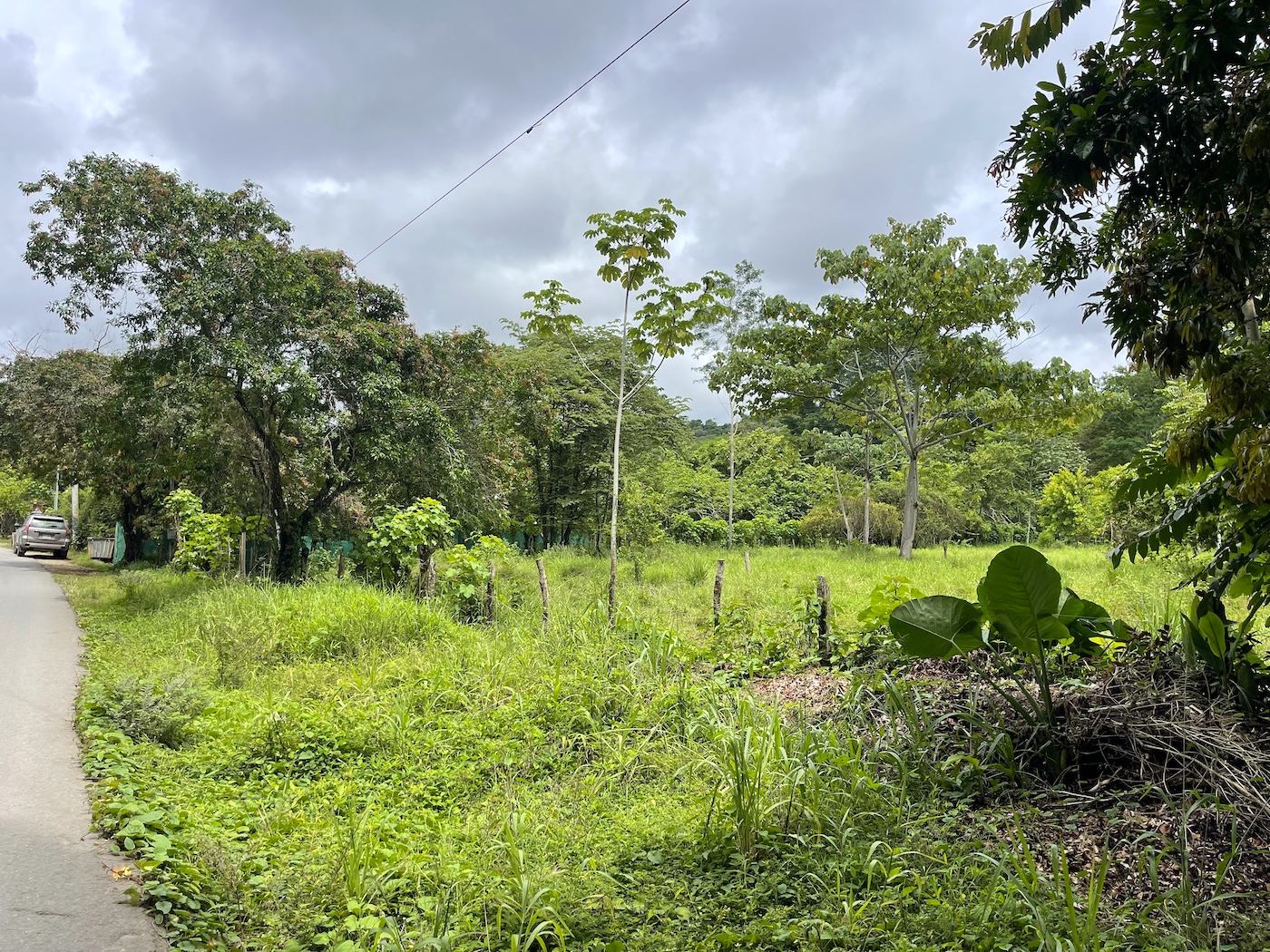 COMMERCIAL PROPERTY WITH AGRICULTURAL LAND IN UVITA – 10.67 Acres