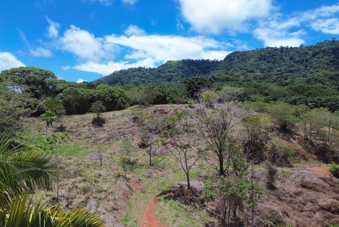 OCEAN AND JUNGLE VIEWS, RIVER AND WALKING DISTANCE TO THE BEACH  – 61.78 ACRES, Uvita, Costa Rica — photo 4