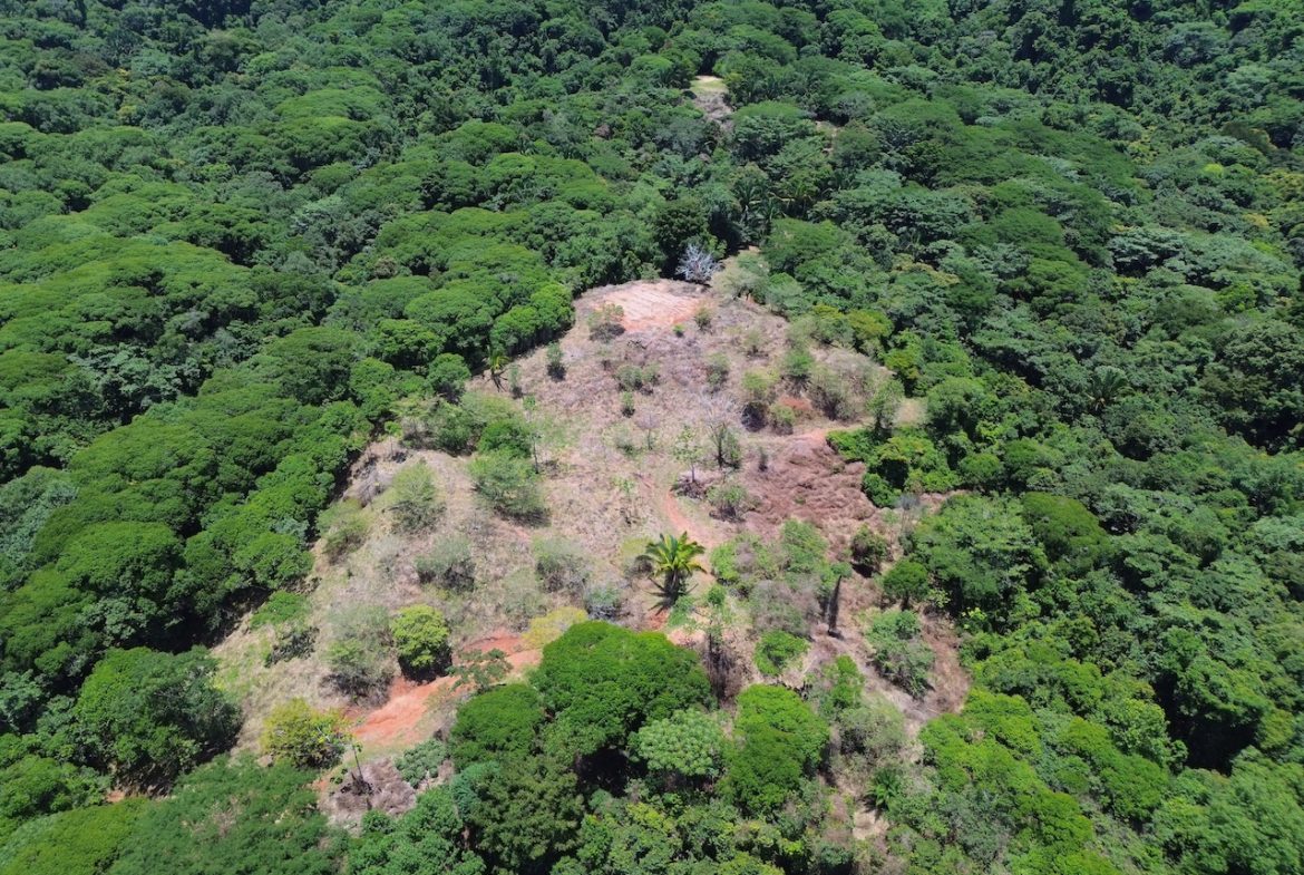 OCEAN AND JUNGLE VIEWS, RIVER AND WALKING DISTANCE TO THE BEACH  – 61.78 ACRES
