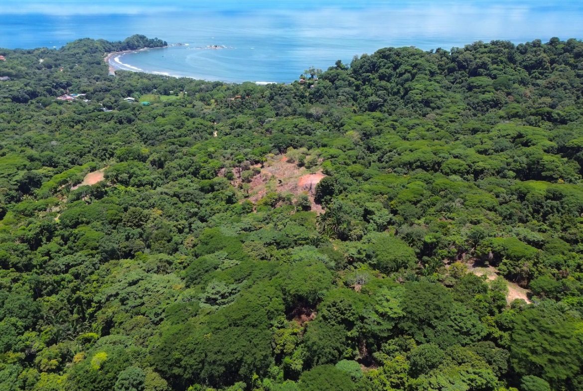 OCEAN AND JUNGLE VIEWS, RIVER AND WALKING DISTANCE TO THE BEACH  – 61.78 ACRES, Uvita, Costa Rica — photo 2