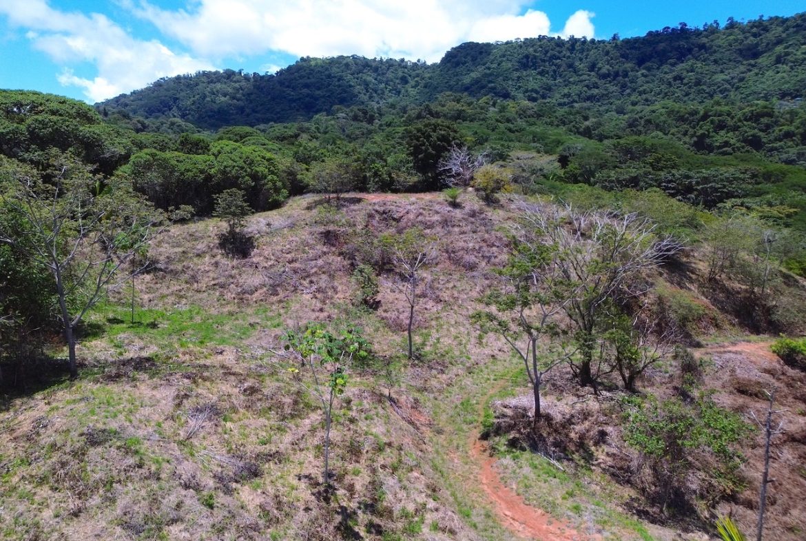 OCEAN AND JUNGLE VIEWS, RIVER AND WALKING DISTANCE TO THE BEACH  – 61.78 ACRES, Uvita, Costa Rica — photo 6