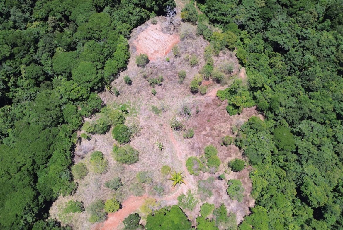 OCEAN AND JUNGLE VIEWS, RIVER AND WALKING DISTANCE TO THE BEACH  – 61.78 ACRES