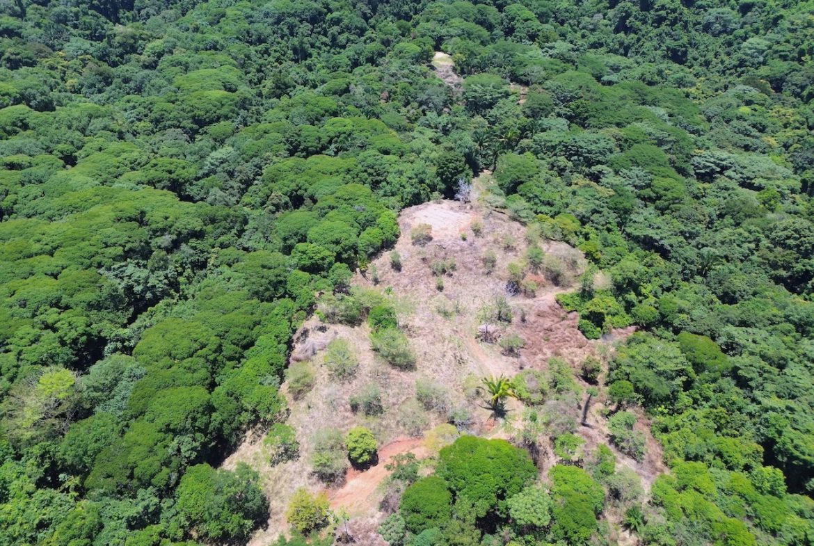 OCEAN AND JUNGLE VIEWS, RIVER AND WALKING DISTANCE TO THE BEACH  – 61.78 ACRES