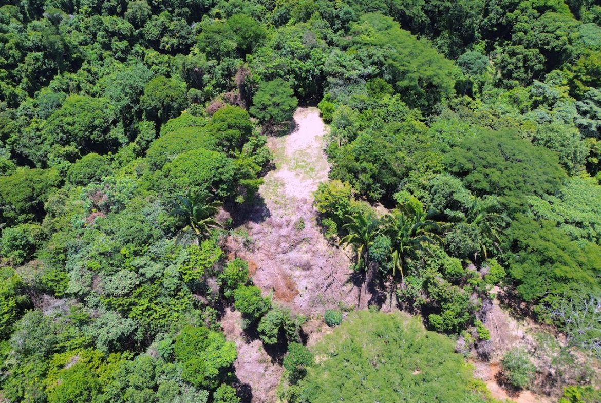 OCEAN AND JUNGLE VIEWS, RIVER AND WALKING DISTANCE TO THE BEACH  – 61.78 ACRES