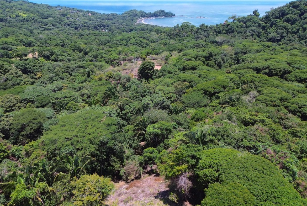 OCEAN AND JUNGLE VIEWS, RIVER AND WALKING DISTANCE TO THE BEACH  – 61.78 ACRES