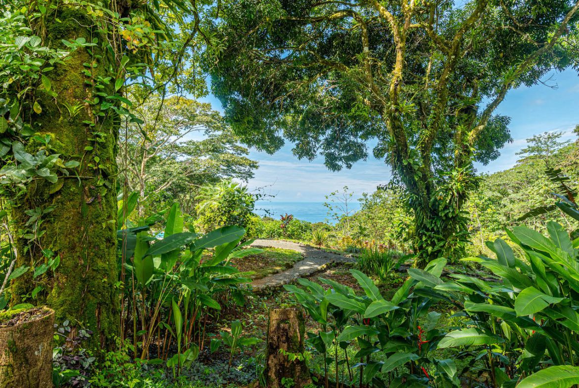 MULTI-USE PROPERTY RESIDENTIAL/HOTEL/COMMERCIAL UVITA