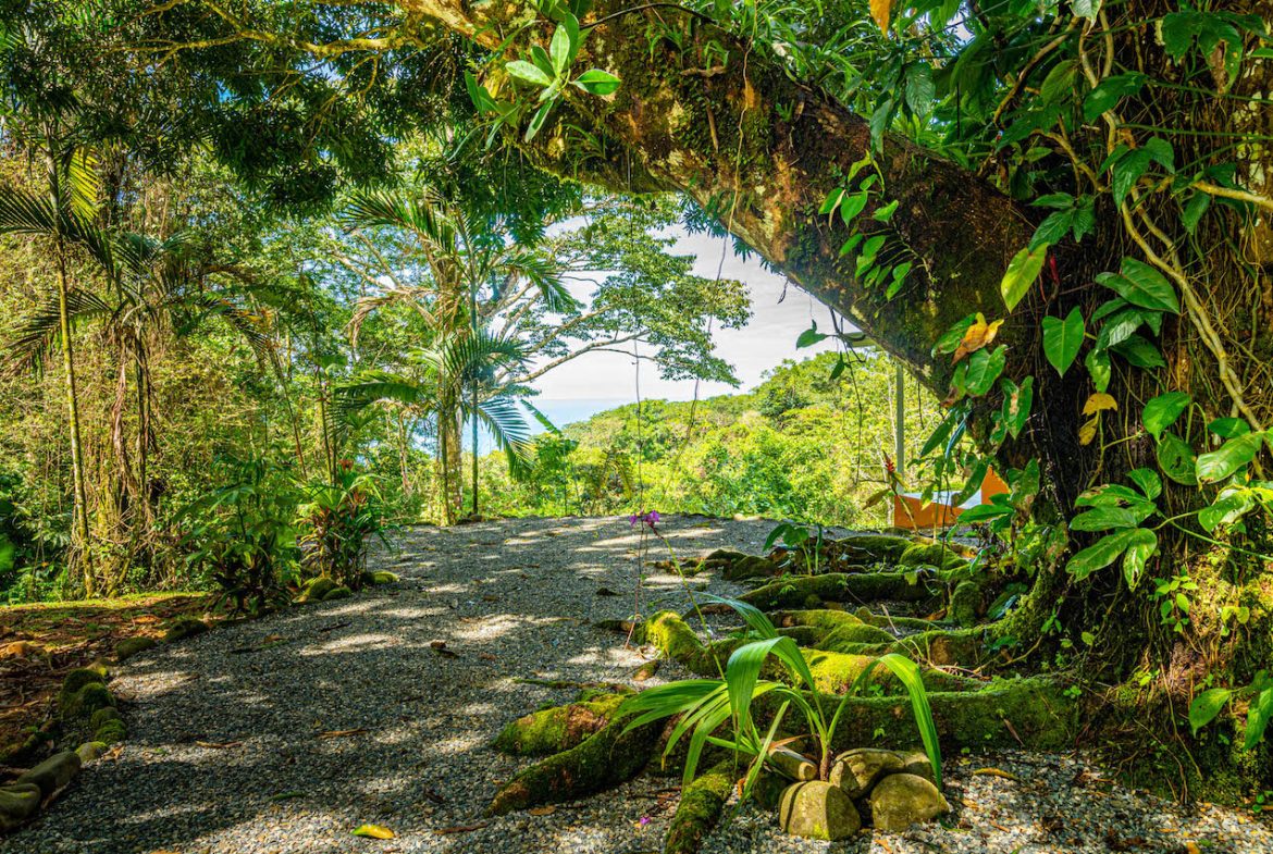MULTI-USE PROPERTY RESIDENTIAL/HOTEL/COMMERCIAL UVITA