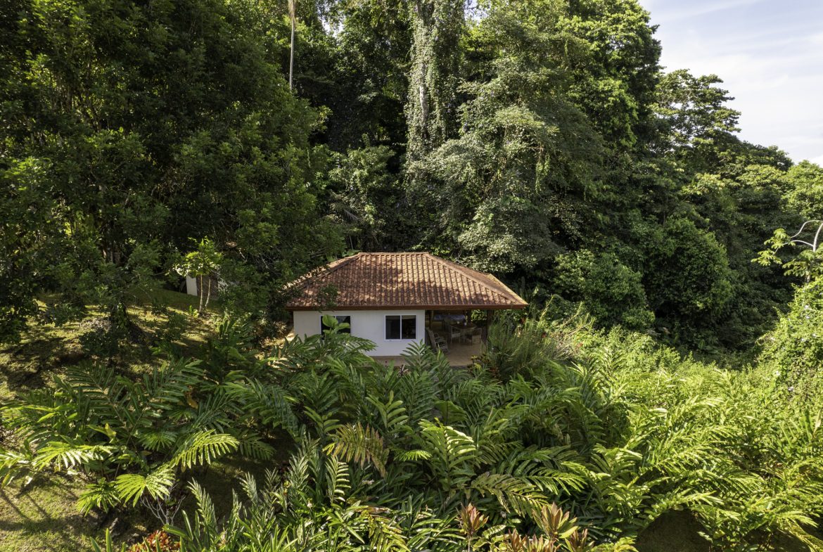 PROPERTY WITH MANICURED LANDSCAPED , OCEAN AND VALLEY VIEW PLUS SMALL HOUSE , CABIN AND STUDIO – 4.72 ACRES