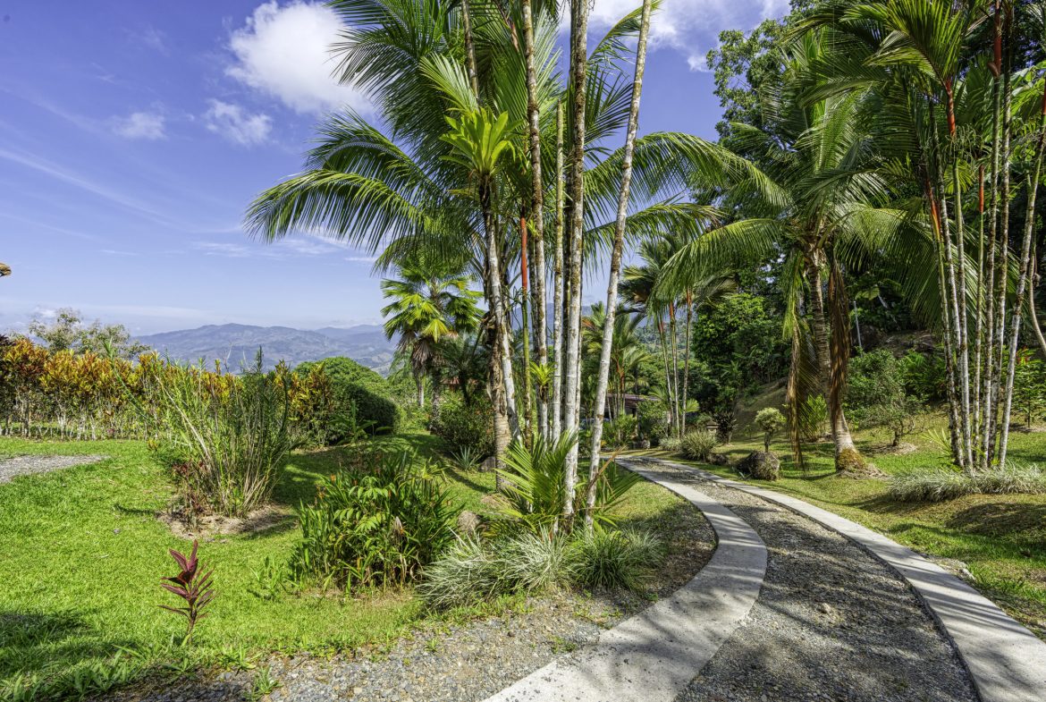 PROPERTY WITH MANICURED LANDSCAPED , OCEAN AND VALLEY VIEW PLUS SMALL HOUSE , CABIN AND STUDIO – 4.72 ACRES