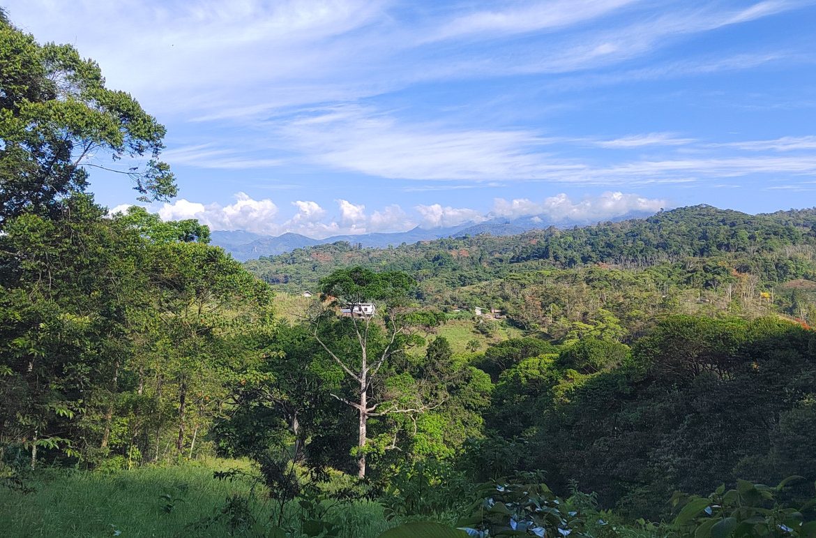 EXCEPTIONAL PROPERTY IN LA LINDA DE GENERAL VIEJO – A DEVELOPER’S DREAM WITH NATURAL SPLENDOR AND PRIME LOCATION – 25 acres
