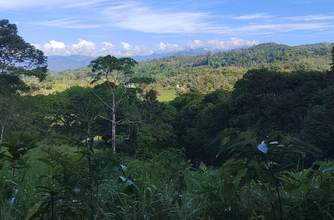 EXCEPTIONAL PROPERTY IN LA LINDA DE GENERAL VIEJO – A DEVELOPER’S DREAM WITH NATURAL SPLENDOR AND PRIME LOCATION – 25 acres