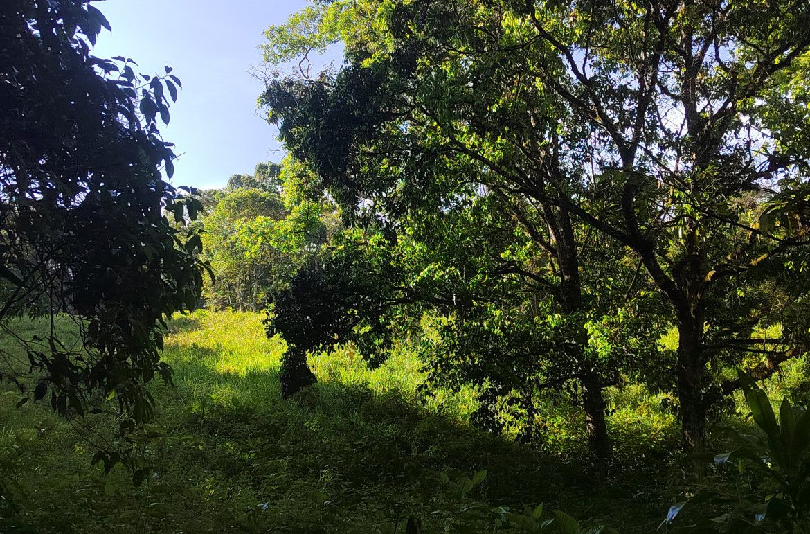 EXCEPTIONAL PROPERTY IN LA LINDA DE GENERAL VIEJO – A DEVELOPER’S DREAM WITH NATURAL SPLENDOR AND PRIME LOCATION – 25 acres