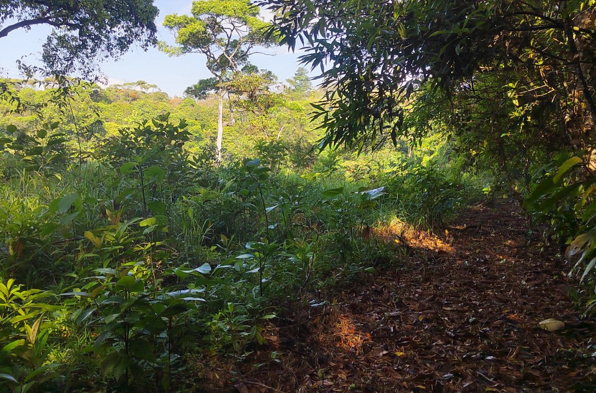 EXCEPTIONAL PROPERTY IN LA LINDA DE GENERAL VIEJO – A DEVELOPER’S DREAM WITH NATURAL SPLENDOR AND PRIME LOCATION – 25 acres