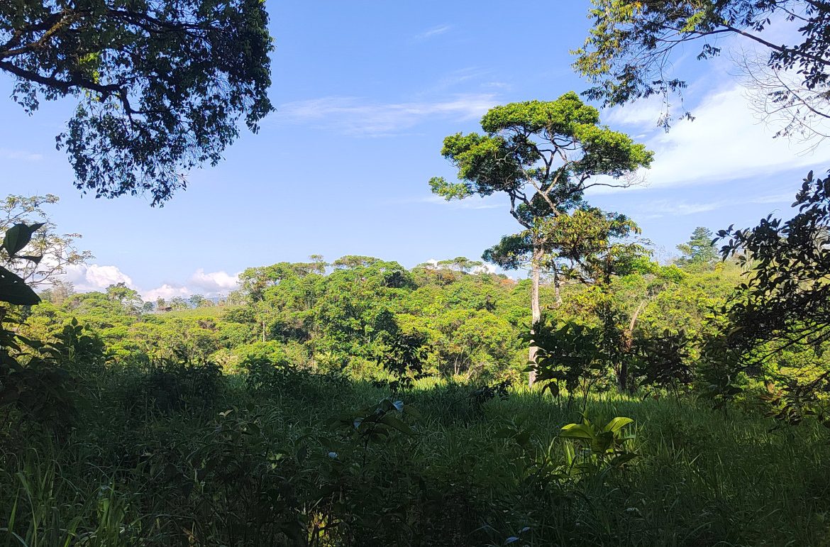 EXCEPTIONAL PROPERTY IN LA LINDA DE GENERAL VIEJO – A DEVELOPER’S DREAM WITH NATURAL SPLENDOR AND PRIME LOCATION – 25 acres