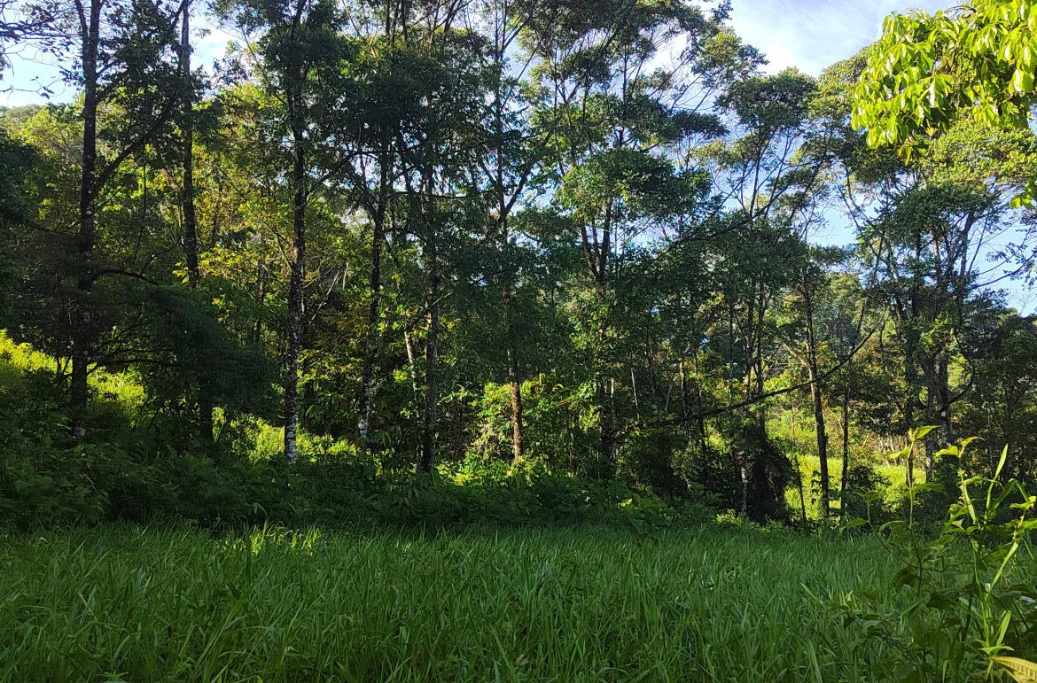EXCEPTIONAL PROPERTY IN LA LINDA DE GENERAL VIEJO – A DEVELOPER’S DREAM WITH NATURAL SPLENDOR AND PRIME LOCATION – 25 acres
