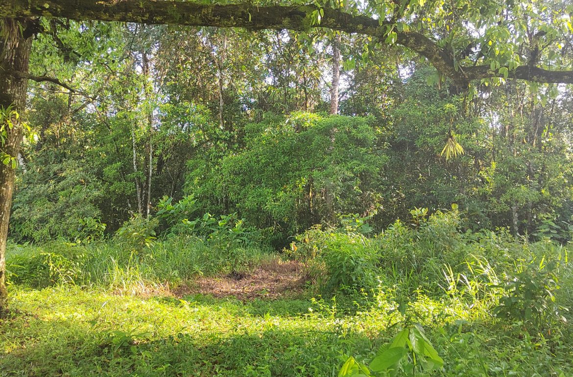 EXCEPTIONAL PROPERTY IN LA LINDA DE GENERAL VIEJO – A DEVELOPER’S DREAM WITH NATURAL SPLENDOR AND PRIME LOCATION – 25 acres