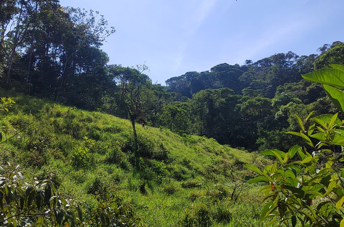 EXCEPTIONAL PROPERTY IN LA LINDA DE GENERAL VIEJO – A DEVELOPER’S DREAM WITH NATURAL SPLENDOR AND PRIME LOCATION – 25 acres