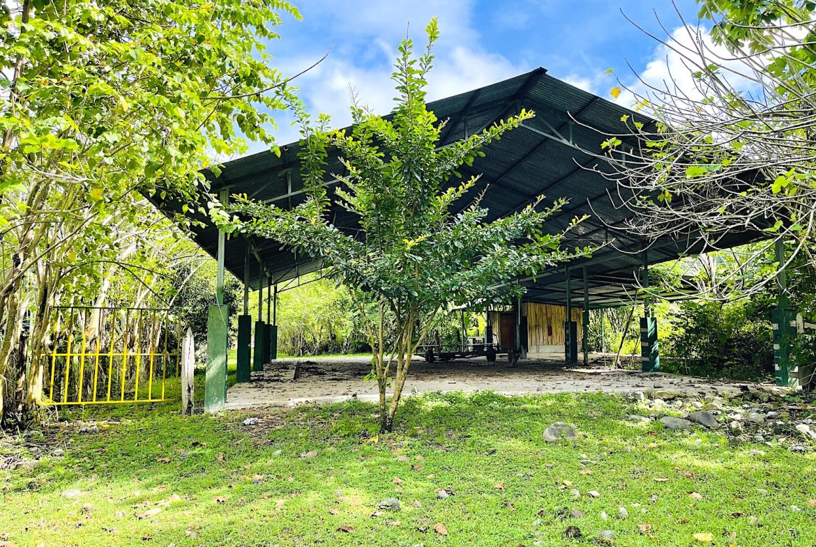 COMMERCIAL PROPERTY WITH AGRICULTURAL LAND IN UVITA – 10.67 Acres