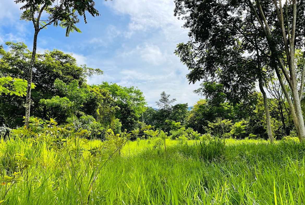 COMMERCIAL PROPERTY WITH AGRICULTURAL LAND IN UVITA – 10.67 Acres
