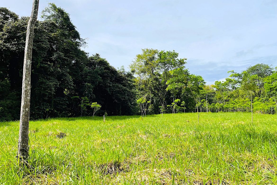 COMMERCIAL PROPERTY WITH AGRICULTURAL LAND IN UVITA – 10.67 Acres