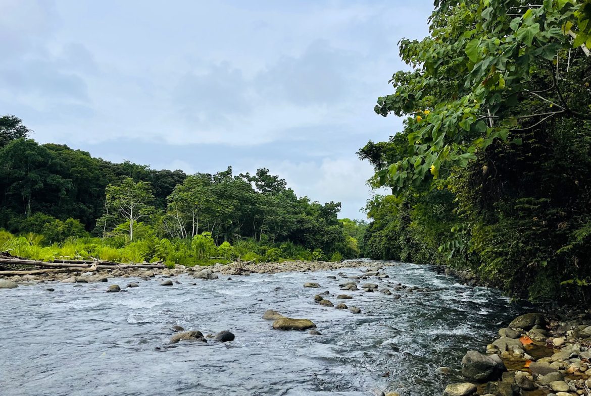 COMMERCIAL PROPERTY WITH AGRICULTURAL LAND IN UVITA – 10.67 Acres