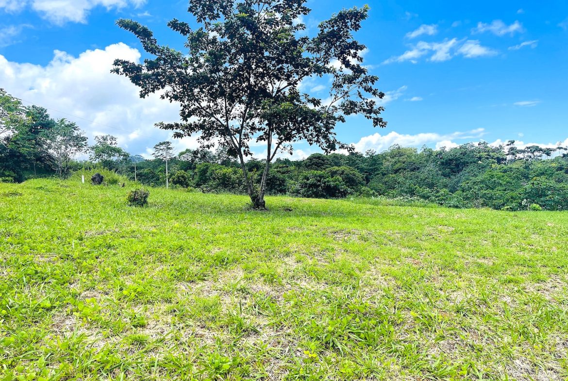 MOUNTAIN VIEW PROPERTY – PHASE 11 LOT 25 – 1.67 Acres