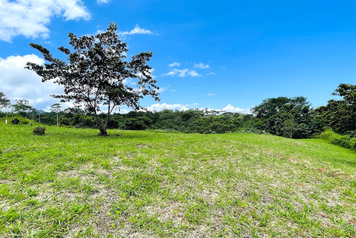 MOUNTAIN VIEW PROPERTY – PHASE 11 LOT 25 – 1.67 Acres